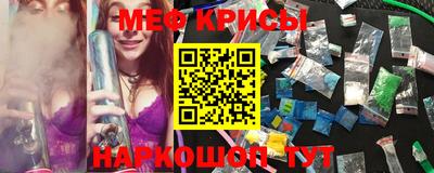 крисы Абакан