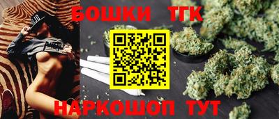 крисы Абакан