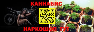 крисы Абакан
